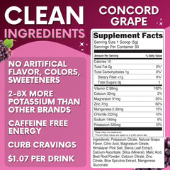 Close-up of My Adventure to Fit Concord Grape electrolytes powder scoop for easy measuring