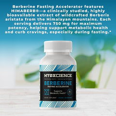 MYOXCIENCE Berberine Fasting Accelerator packaging featuring 90 capsules and quality manufacturing