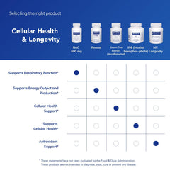 NAC 600 mg supplement ingredients close-up showing free-from labels