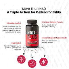 NAD Plus Revive+Immune tablets closeup indicating extended-release energy for sustained focus.