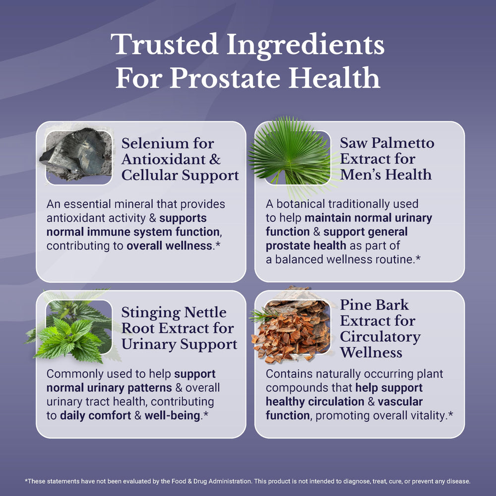 NATION HEALTH MD Flow Active pygeum bark extract capsule for traditional prostate support.