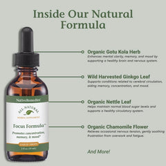 Native Remedies Focus Formula tincture dropper close-up for convenient dosing.