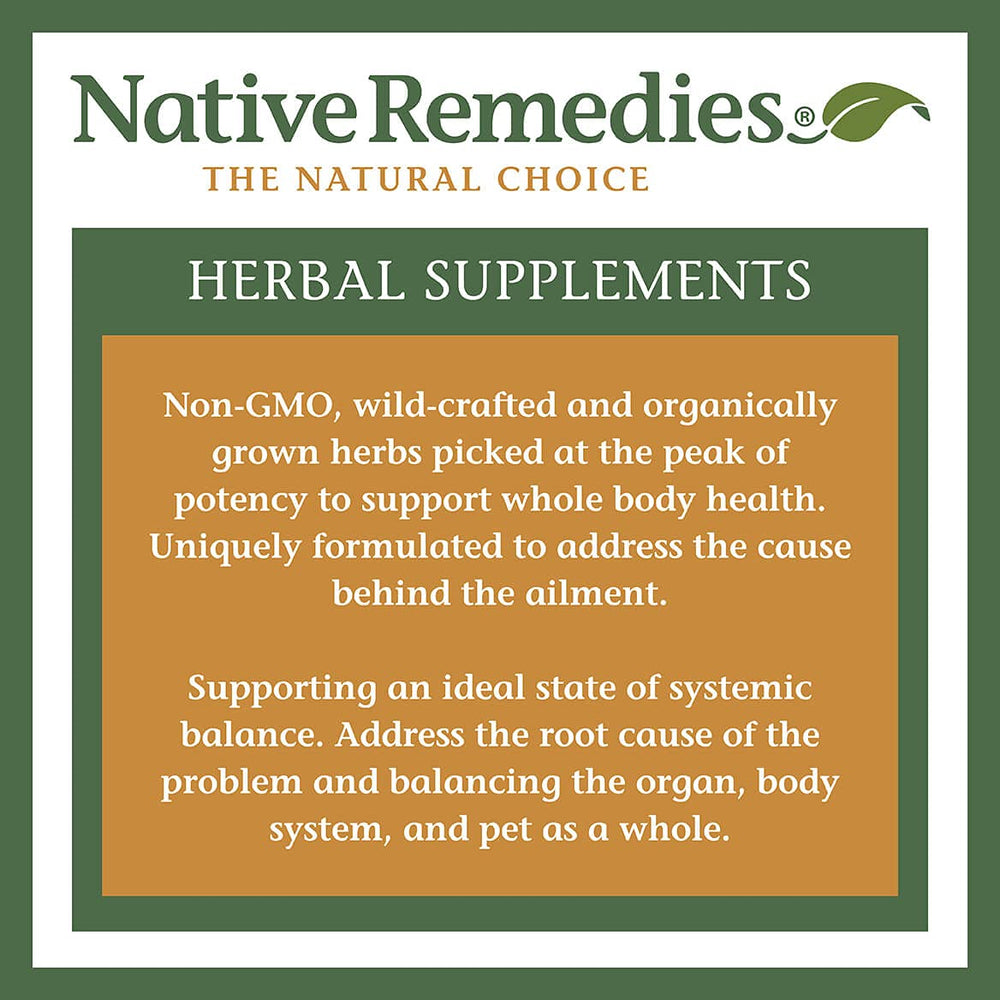 Native Remedies Inflam Dr in a daily-use scene as part of a routine