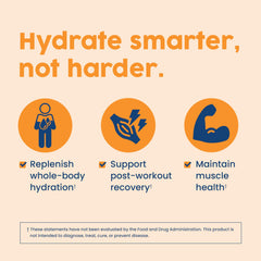 Native Path Hydrate on-the-go sachet for travel hydration.