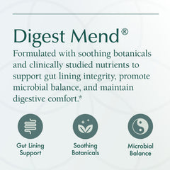 Digest Mend mastic gum ingredient supports gut-friendly balance