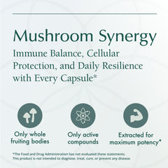 Natura Health Mushroom Synergy poria and shiitake mix in bottle