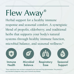 Ginger and elderberry depicted as natural ingredients in Natura Health Products Flew Away.
