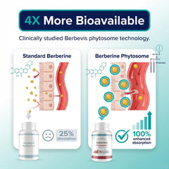 Natural BioScience Berberine Phytosome capsules ready for daily metabolic support
