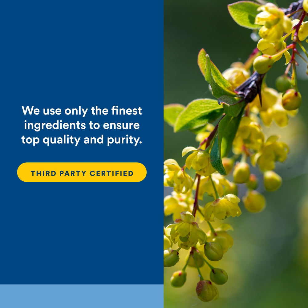 Natural Factors berberine ingredient chart highlights sustainability and purity