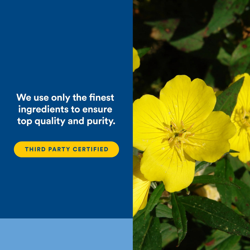 Natural Factors Primrose capsules close-up highlighting smooth texture.
