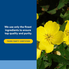 Natural Factors Primrose capsules close-up highlighting smooth texture.