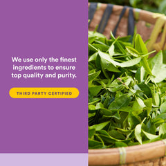Natural Factors Tranquil Sleep certification seals indicate third-party testing and quality.