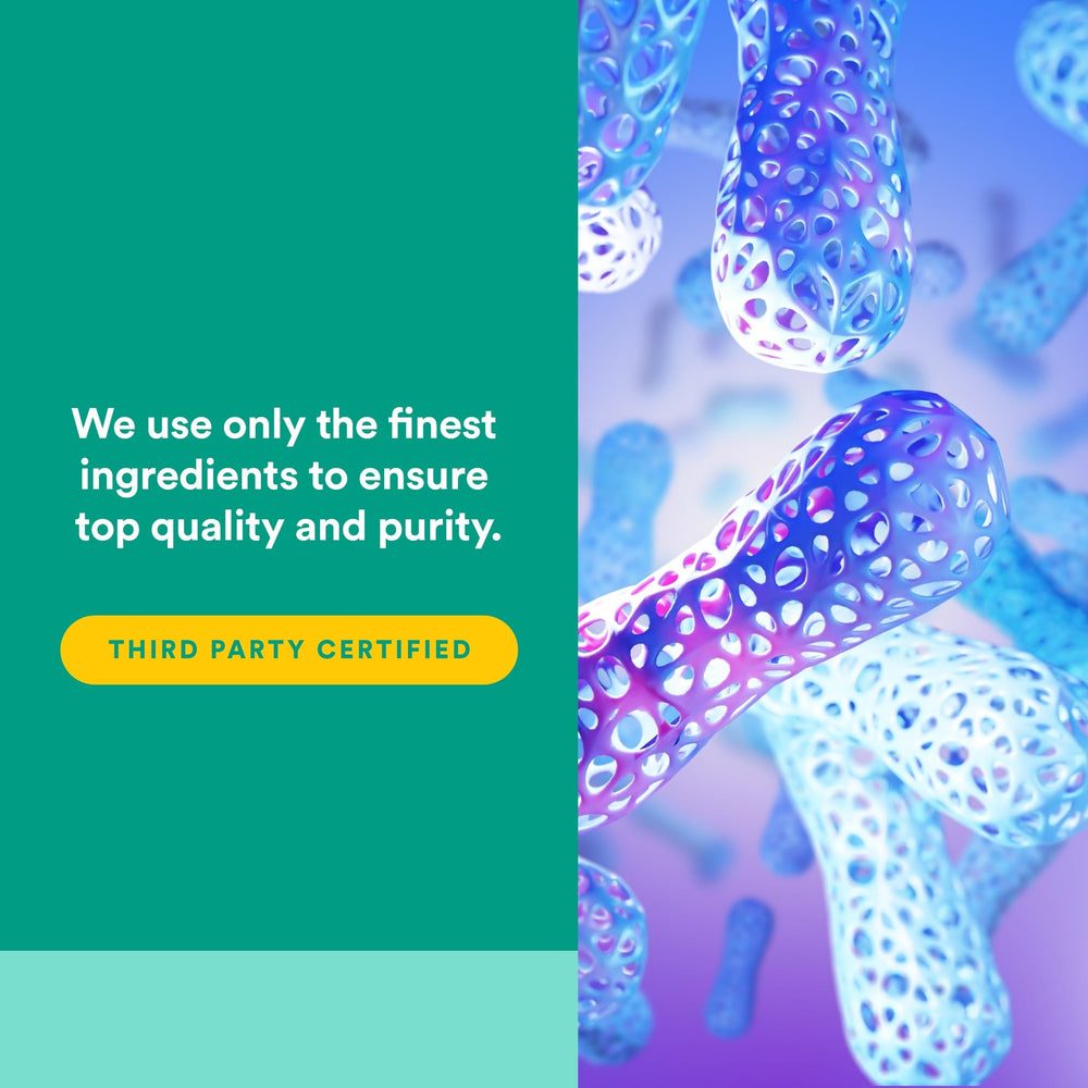 Natural Factors Ultimate Probiotic 24/12 back label notes third-party testing and purity.