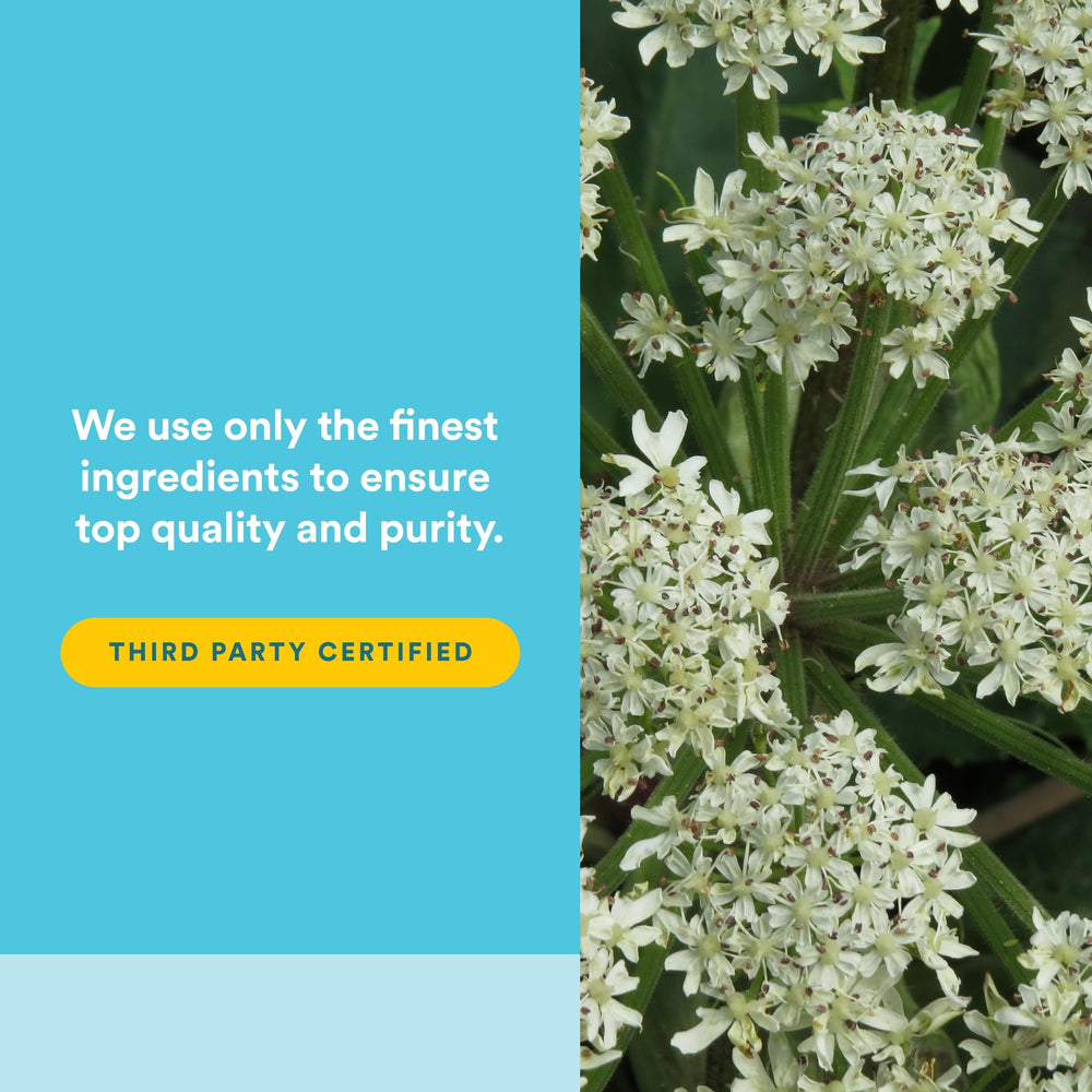 Ingredient blend of black cohosh, chasteberry, and dong quai in WomenSense MenoSense.