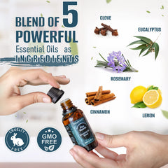 Natural Riches Five Guards diffuser setup releasing calming scents in home