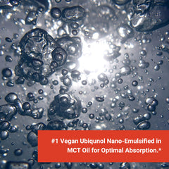 Naturalis cGMP-certified California facility ensures quality manufacturing.
