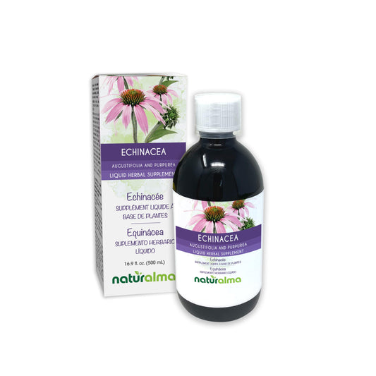 Naturalma Echinacea bottle front highlights alcohol-free liquid extract for daily herbal use.