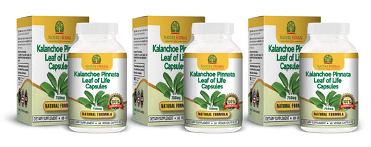 Nature Herbal Life bottle-front showing Kalanchoe Pinnata capsules for daily wellness