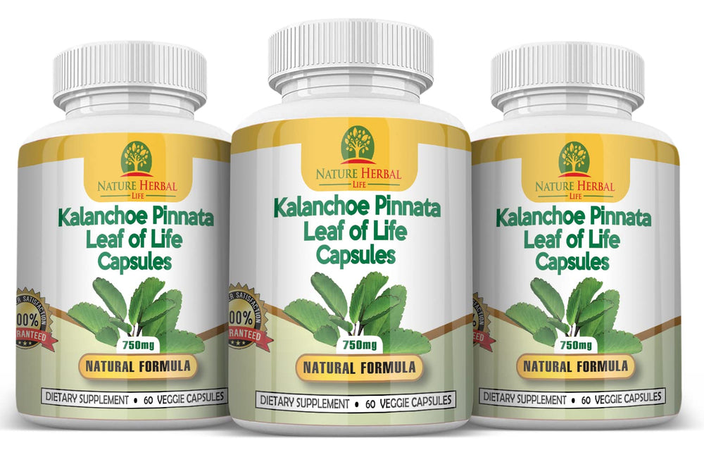 Nature Herbal Life capsules close-up highlights plant-based detox benefits
