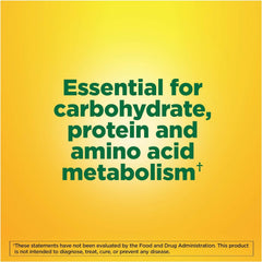 Nature Made B-6 100 mg label close-up highlights metabolism use