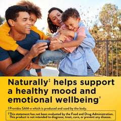 Nature Made SAM-e Complete 400mg tablets stacked for easy intake