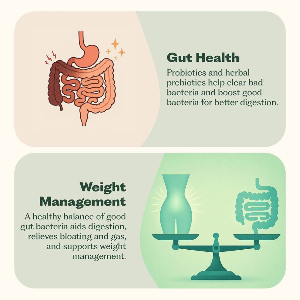 Nature M.D. Synbiotic 365 prebiotics visual highlighting fiber support