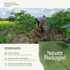 Nature Packaged spikenard oil dropper ready for precise blending