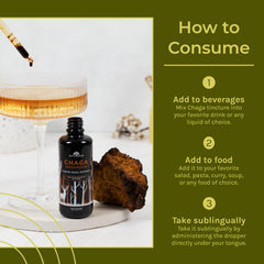 Naturealm Chaga mushroom fruiting bodies highlight wild source