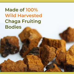 Naturealm Chaga tincture packaging box showcasing brand quality commitment
