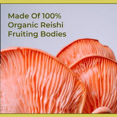 Naturealm Reishi tincture on a nightstand setup for calm wind-down