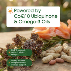 NatureBell CoQ10 Omega shelf display suggests everyday wellness routine.