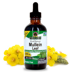 Nature's Answer Mullein Leaf Extract bottle highlighting purity and respiratory support