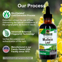 Organic Mullein Leaf label from Nature's Answer emphasizing organic sourcing