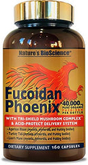 Nature's Bioscience Fucoidan Phoenix Advanced bottle front showing pure formula for daily vitality