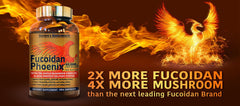 Nature's Bioscience Fucoidan Phoenix Advanced ingredients panel with organic mushrooms