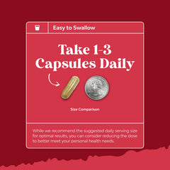 Natures Craft After Workout Visual shows recovery-friendly supplement for endurance.