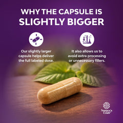 Natures Craft Kava Kava capsules close-up highlighting high kavalactone extract.