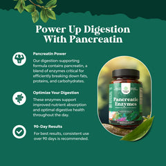 Natures Craft Pancreatin amylase lipase protease capsules