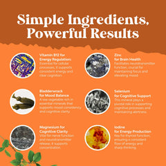 Natures Craft Schisandra berries image suggests adaptogen support for daily stamina.