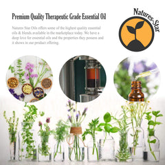 Natures-Star lavender oil bulk pack image ideal for large aromatherapy routines