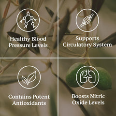 Nature's Sunshine Blood Pressurex label detail highlighting the natural blend.
