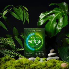 Nature's Sunshine Brain Edge ingredients list shows nootropic herbs for cognitive support.