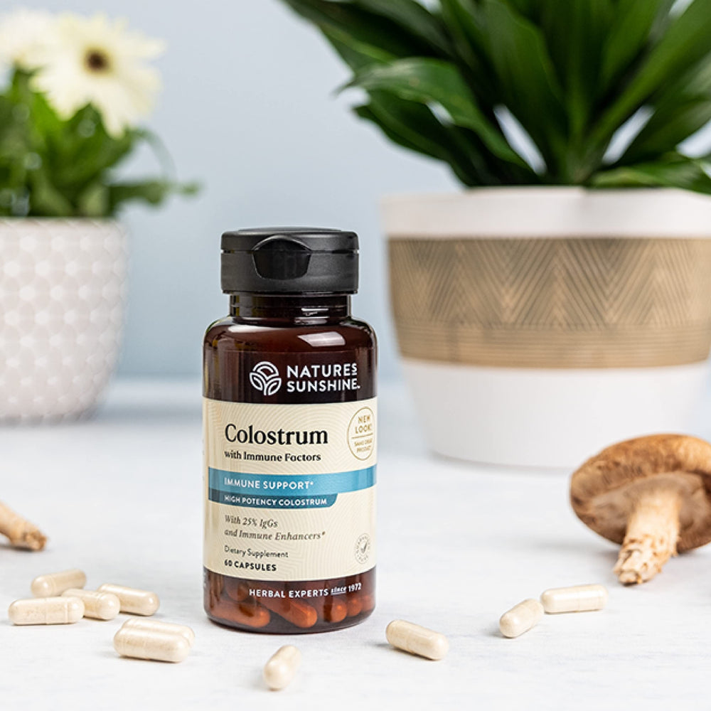 Nature's Sunshine Colostrum capsules arranged for daily gastrointestinal health support