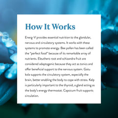 Nature's Sunshine Energ-V packaging box communicates benefits without medical claims.