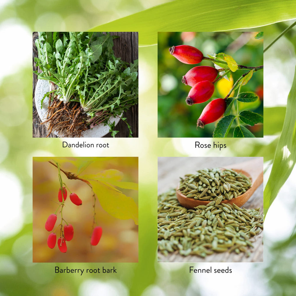 Nature's Sunshine LIV-J parsley highlight natural deodorizer and digestive support.