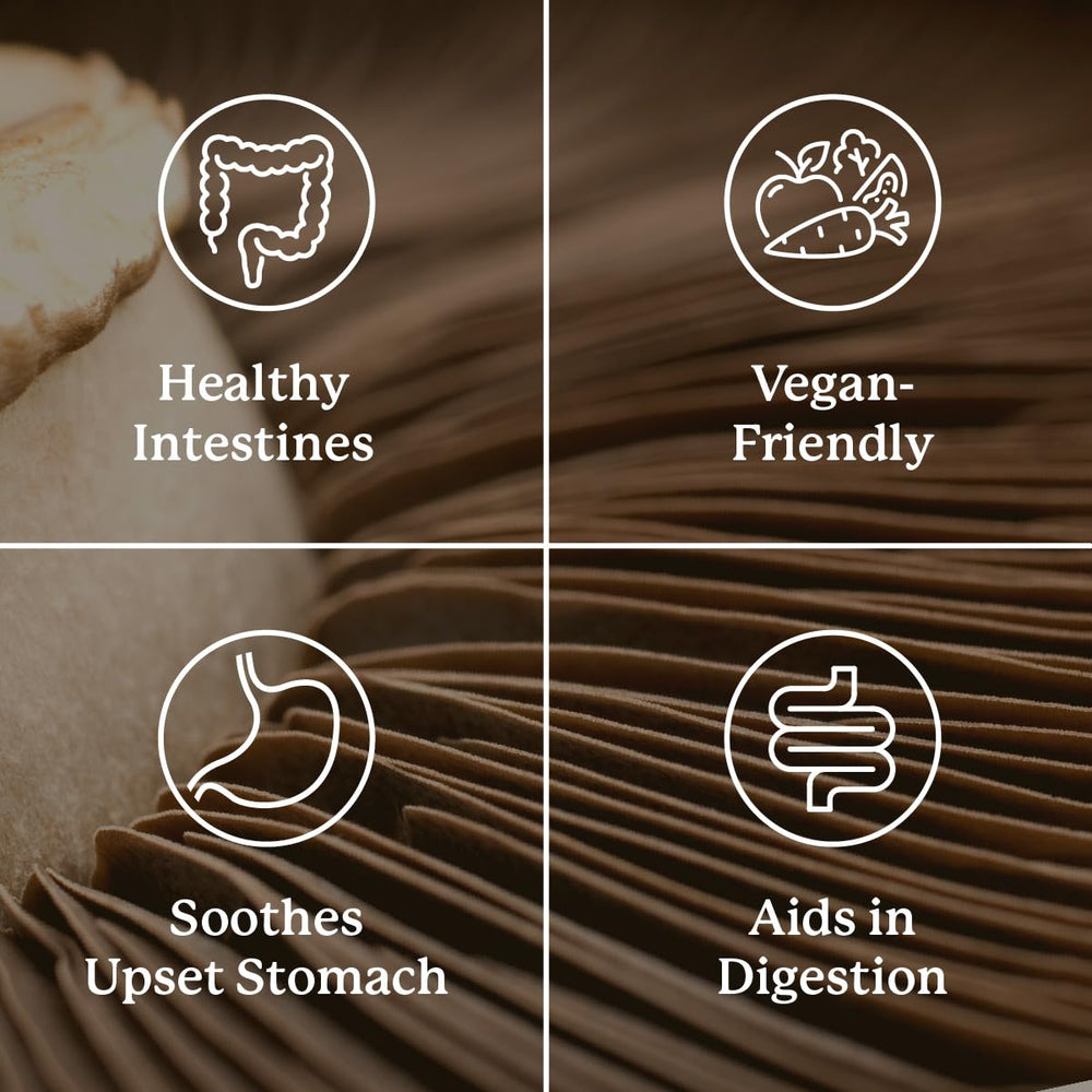 Nature's Sunshine Proactazyme ingredients list displays herbal enzyme base