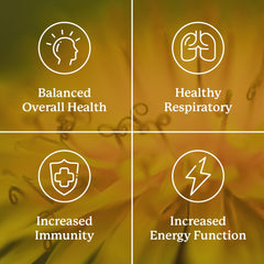 Packaged Nature's Sunshine VS-C TCM Concentrate noting manufacturing origin in the USA.