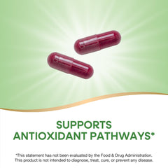 Nature's Way Beet Root capsules close-up emphasizing plant-based nutrients