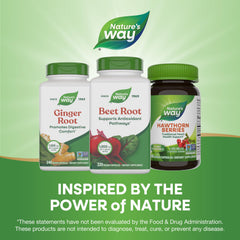 Nature's Way Beet Root packaging variation display on shelf
