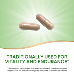 Nature's Way Cordyceps bottle take with food demonstrates simple daily use.